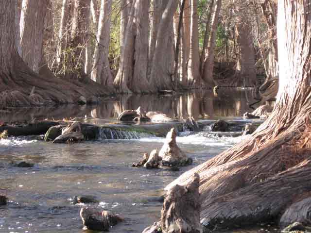 Visit Boerne